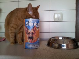 Совесть обожрала собаку и спокойно спала:)