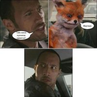 Домашние лисы