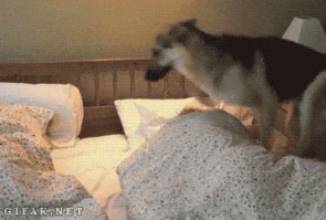 убил бы суку!:)