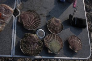 Вот ишшо немного