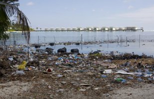 ЭТО Мальдивы