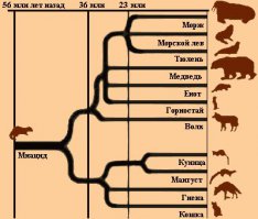 Гипотетически, примерно так: