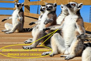 Салонные процедуры начала прошлого века - зрелище не для слабонервных