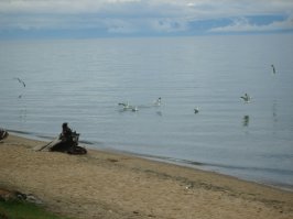 Самый лучший отдых - это вот так: 
Лес - божественный. Тишина, только шелест ветвей и хруст ягеля под ногами. Боже, как жалко наступать на него! 
Шум прибоя, крики чаек. Чайки обнаглели. Голоса людей едва слышны вдали. Запах костра.

Не понимаю что за отдых на курортах среди толп тех же самых людей.