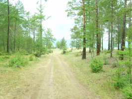 Самый лучший отдых - это вот так: 
Лес - божественный. Тишина, только шелест ветвей и хруст ягеля под ногами. Боже, как жалко наступать на него! 
Шум прибоя, крики чаек. Чайки обнаглели. Голоса людей едва слышны вдали. Запах костра.

Не понимаю что за отдых на курортах среди толп тех же самых людей.