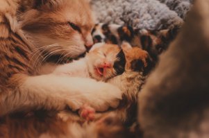 А я вот вчера кадр поймал ))