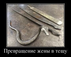 Солянка удивительных фоток, часть 9