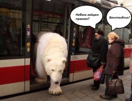 Солянка удивительных фоток, часть 9