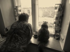 21 очаровательная фотография малышей в компании котов