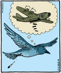 Миллионы сдавшихся солдат: ложь о первых днях войны