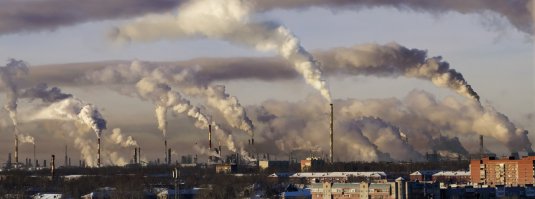  Мультяхи в Новокузнецке