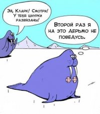 Смешные комментарии и высказывания из социальных сетей  