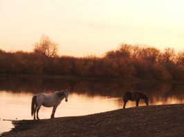 Солянка удивительных фоток, часть 3