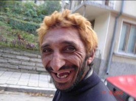 Голая морская свинка с идеальной бородой 