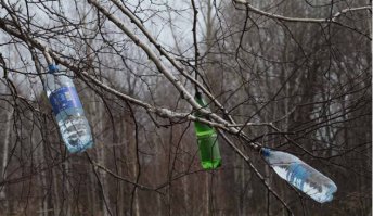 Нафига сверлить ствол? Как его потом не заделывай а споры дереворазрушающих грибов уже проникли и березе скоро кирдык!
Я уже очень много лет применяю щадящий метод сбора берёзового сока. Для этого не нужно рубить ствол берёзы, достаточно опилить тонкую нижнюю ветку и надеть на неё пустую бутылку — полторашку. Для надёжности горлышко бутылки можно примотать к ветке проволокой. В зависимости от температуры, такая бутылка наполняется от 2 часов до суток. Берёза от этого не страдает! 
дублирую GreyWolf1