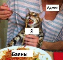 Как легко и быстро отремонтировать сломанную дверь своими руками