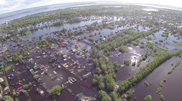 Спасли бобра!