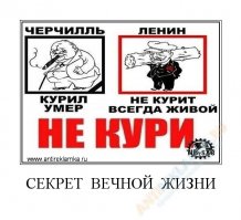 12 знаменитостей, растерявших былую красоту 