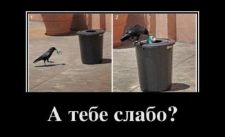 Весеннее обращение к согражданам России!