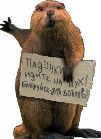 Спасти бобра