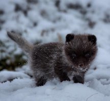 Такой маленький, а уже писец.
