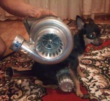 "Тюнингованные" Тазы примерно так же круто выглядят