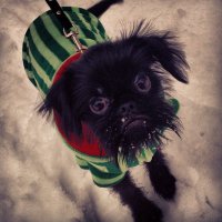 вот одна из моих "бабаек"