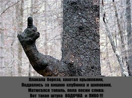 Картинки с надписями