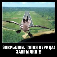 Солянка удивительных фоток, часть 9