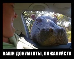 Солянка удивительных фоток, часть 9