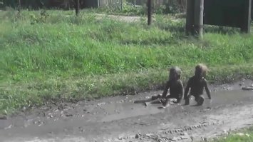 Детки повзрослели...
