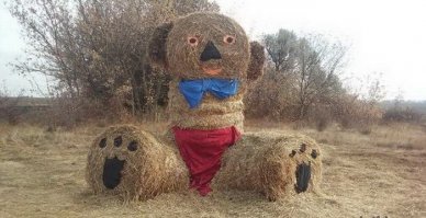 Чебурашка???