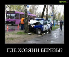 Авария дня. Полицейская машина врезалась в дерево 