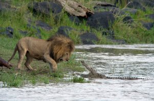 Кто-то сейчас кому-то хлебальник прикроет.