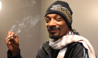 Странный и таинственный сосед у нас появился