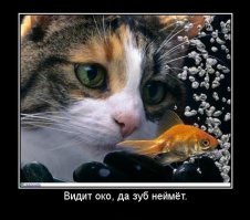 Висит груша, нельзя скушать: как фотографируют еду для рекламы