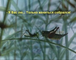 Известные цитаты из советских мультфильмов!