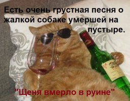 дурак ты горбатый!....которого видимо только могила....исправит.