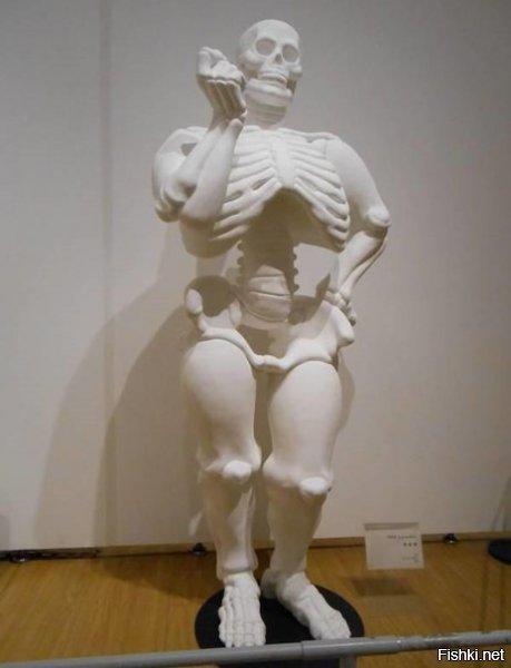 Британские ученые нашли-таки скелет человека с широкой костью...