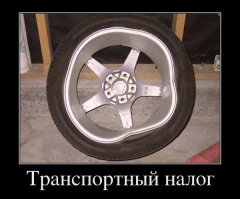Весна 2016 года глазами потерпевших