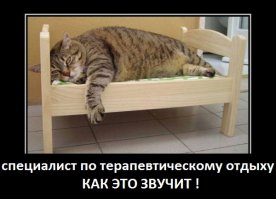 Что она сделала, когда в мусоре нашла ребенка?