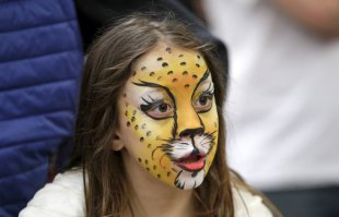 Чё за порода? Завёл бы парочку. Только жена не разрешит.