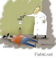 Гифки дня