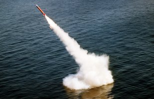 валяешься такой на морском бережку, беды не чуешь и тутт друг как жахнет из под воды