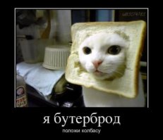 Сэндвич на завтрак: пять простых рецептов