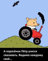 Медвеженок Мансур учится летать  