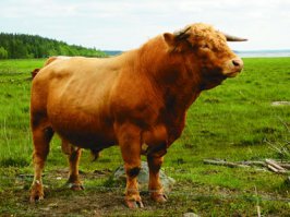 Спасибо, бро!