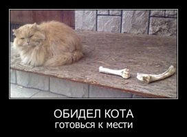 Тапки спрятать надо!!!