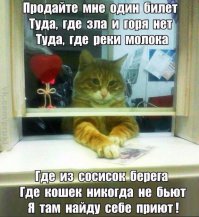 Смешные картинки с надписями 13.04.2016	