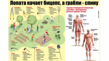 Отдых должен приносить пользу здоровью